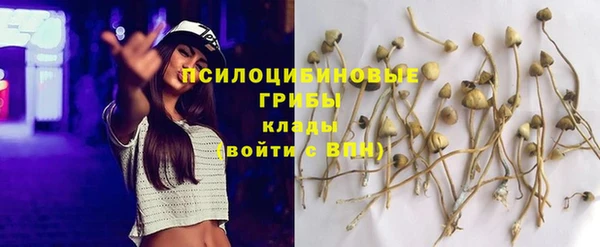 соль ск Семёнов