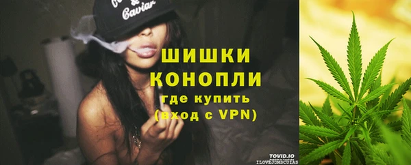 соль ск Семёнов