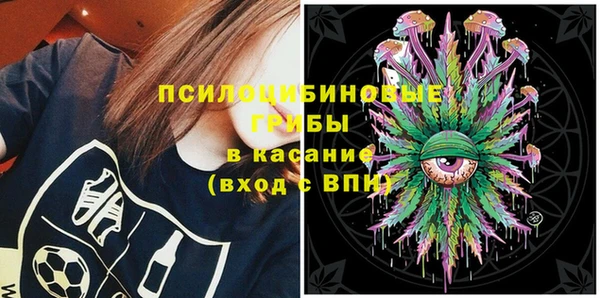 стаф Семикаракорск