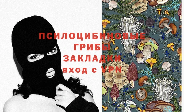 стаф Семикаракорск