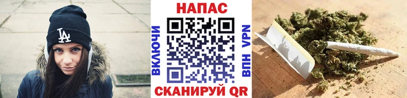 Канабис сатива  Алагир 